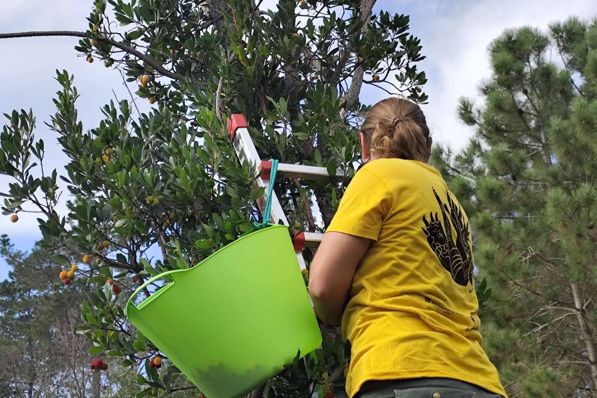 Más de 150 personas participan en el primer webinar del proyecto Plantas Olvidadas