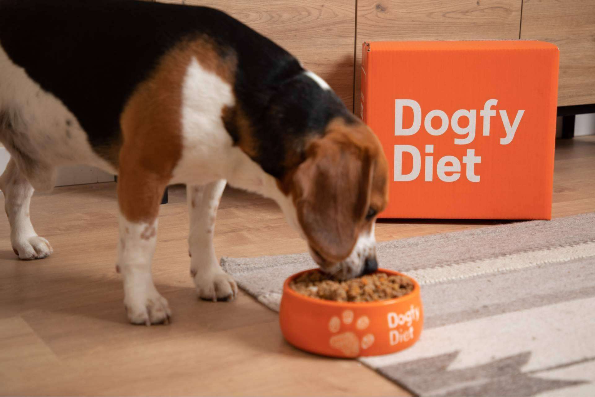 Dogfy Diet ofrece soluciones con comida natural para perros con sobrepeso mediante planes nutricionales ajustados