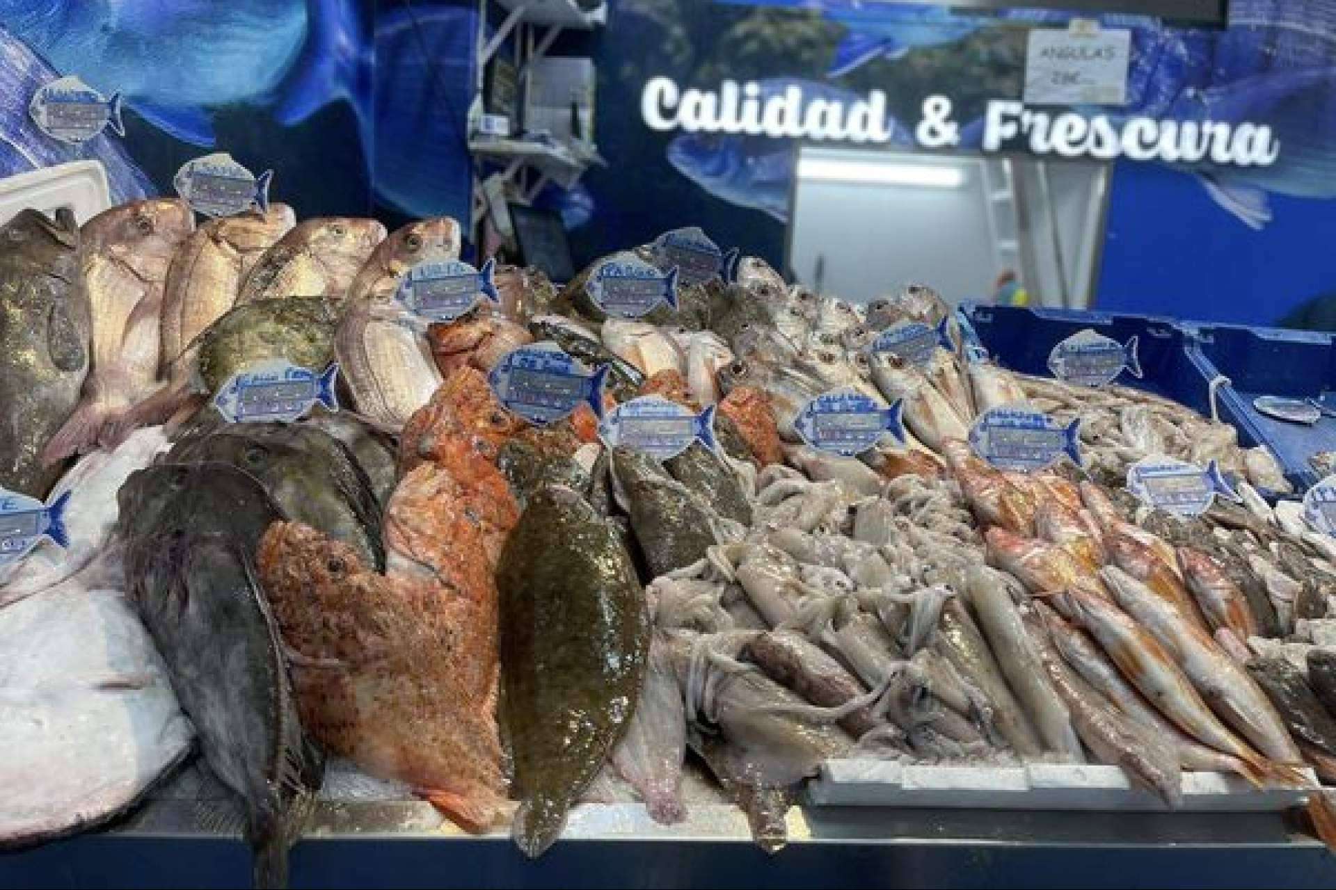Pescadería Younes Ceuta; excelencia en pescado y marisco fresco en el corazón de la ciudad