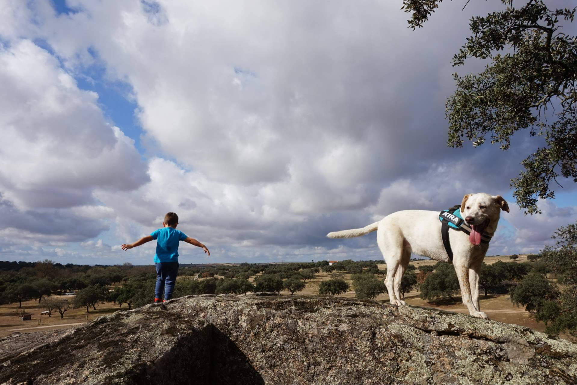 DogInquieta consolida en Extremadura la primera red de turismo rural plenamente pet-friendly