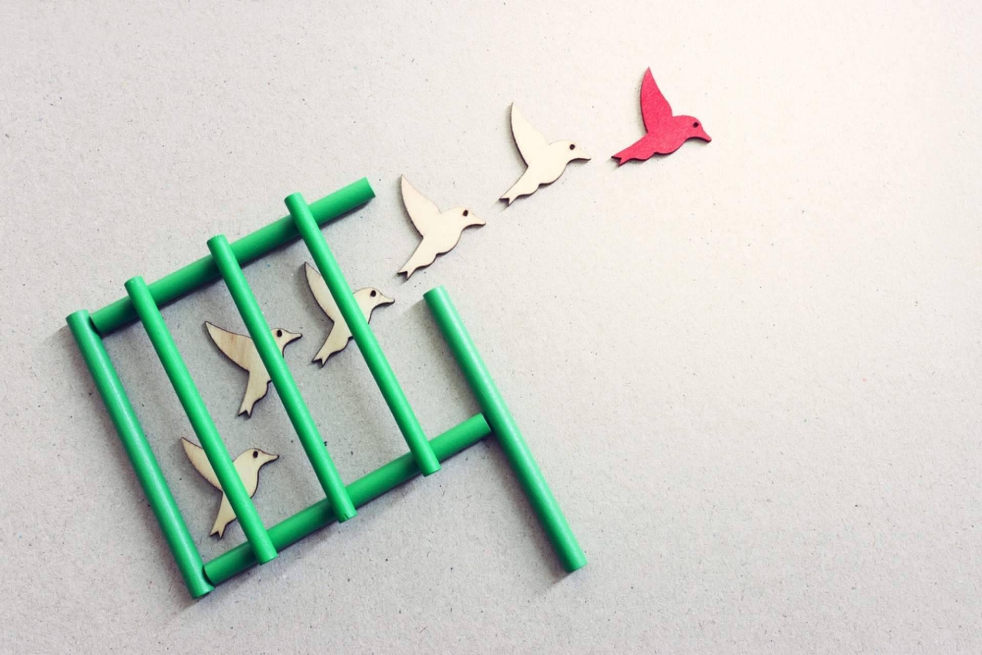 Particulares y autónomos pueden reconstruir su vida tras la deuda con la Ley de Segunda Oportunidad