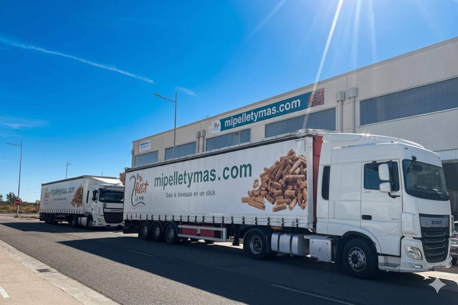Cuarto aniversario en biomasa; Mi Pellet y Más se consolida como referente nacional