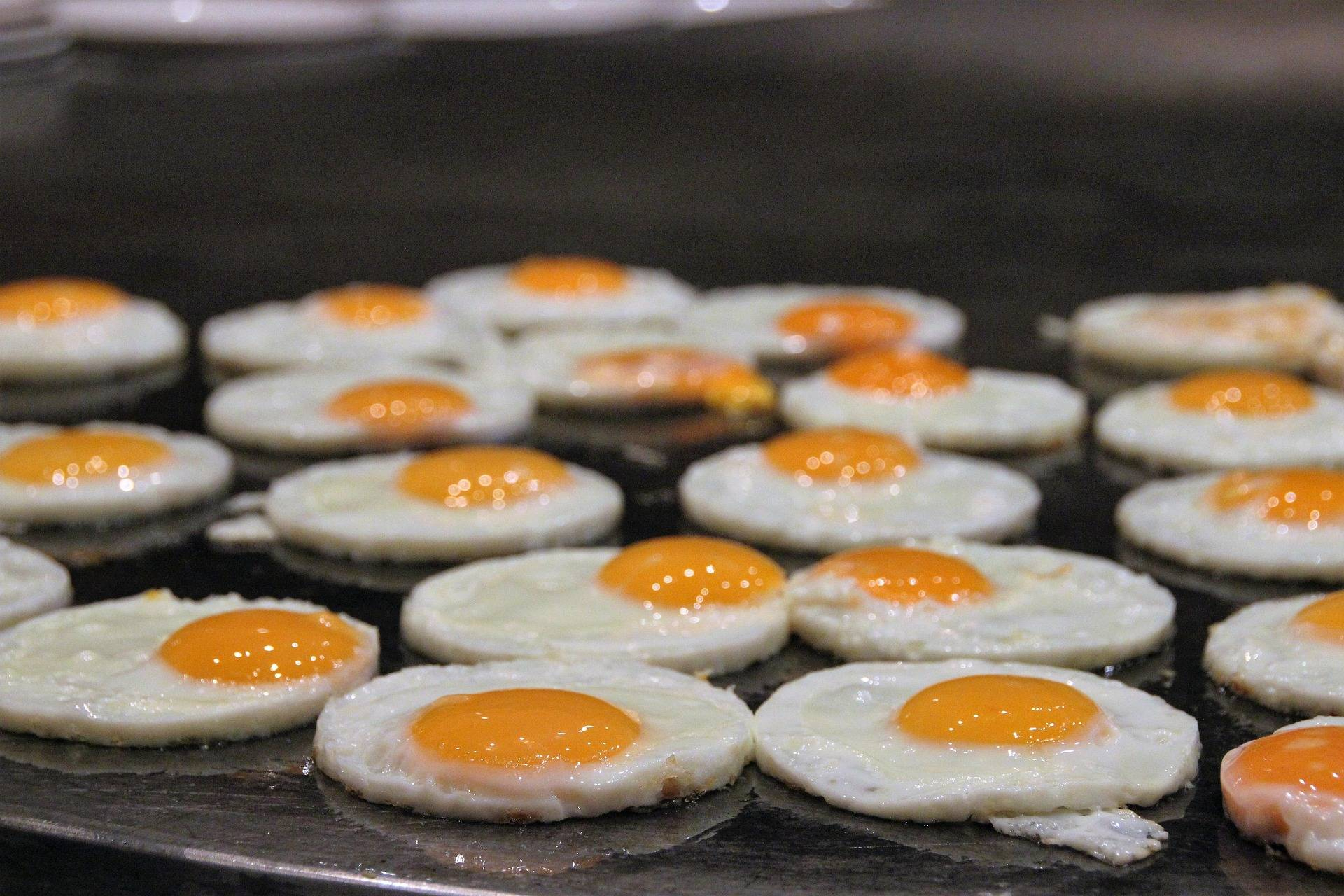 La gestión de aguas residuales en el canal HORECA, clave para avanzar hacia la sostenibilidad