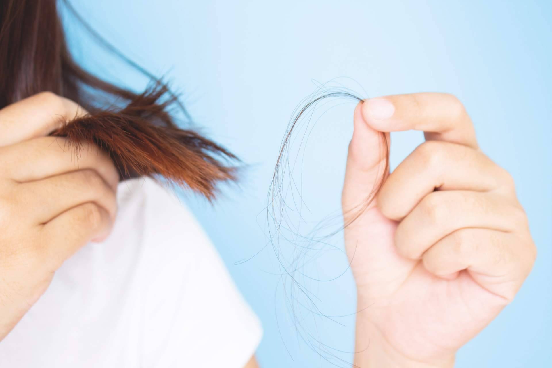 El invierno y el cabello; soluciones simples y efectivas