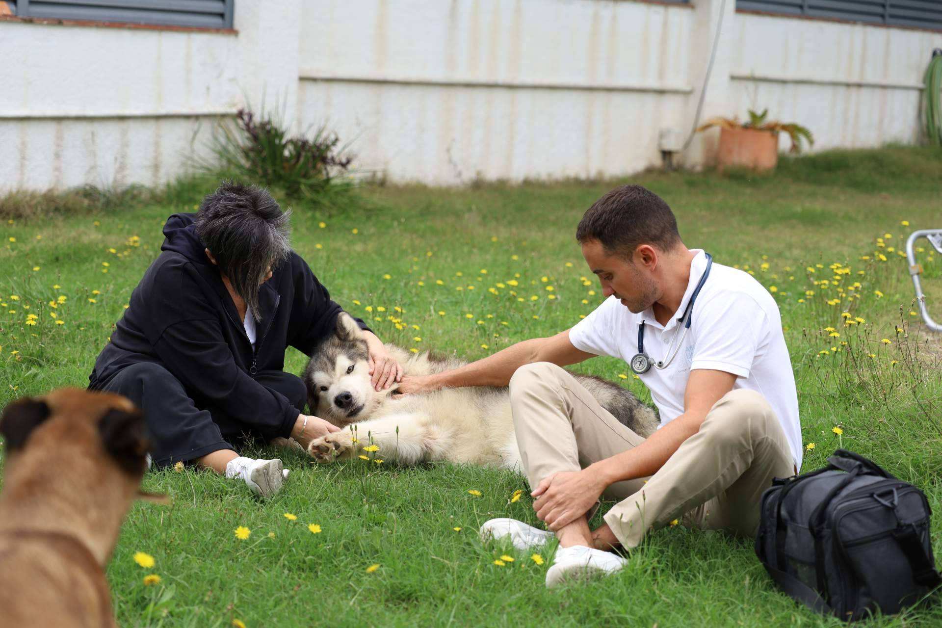 ¿Es el hogar el mejor lugar para decir adiós al animal de la familia?