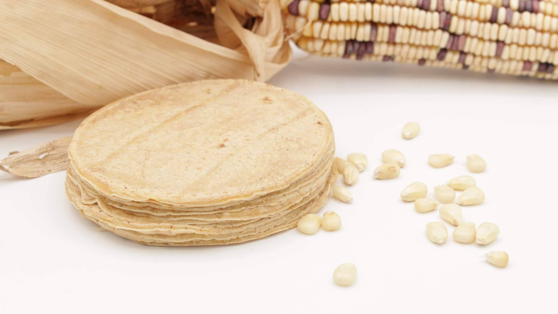 Maíz Maya y la elaboración de tortillas de maíz nixtamalizado en España con esencia tradicional mexicana