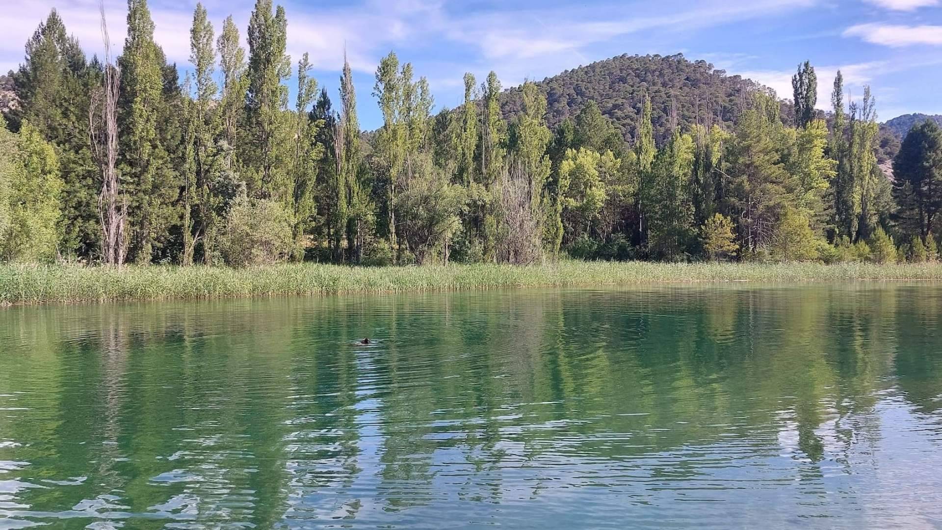 Un oasis natural entre pinares; la playa oculta de Cañamares en Cuenca