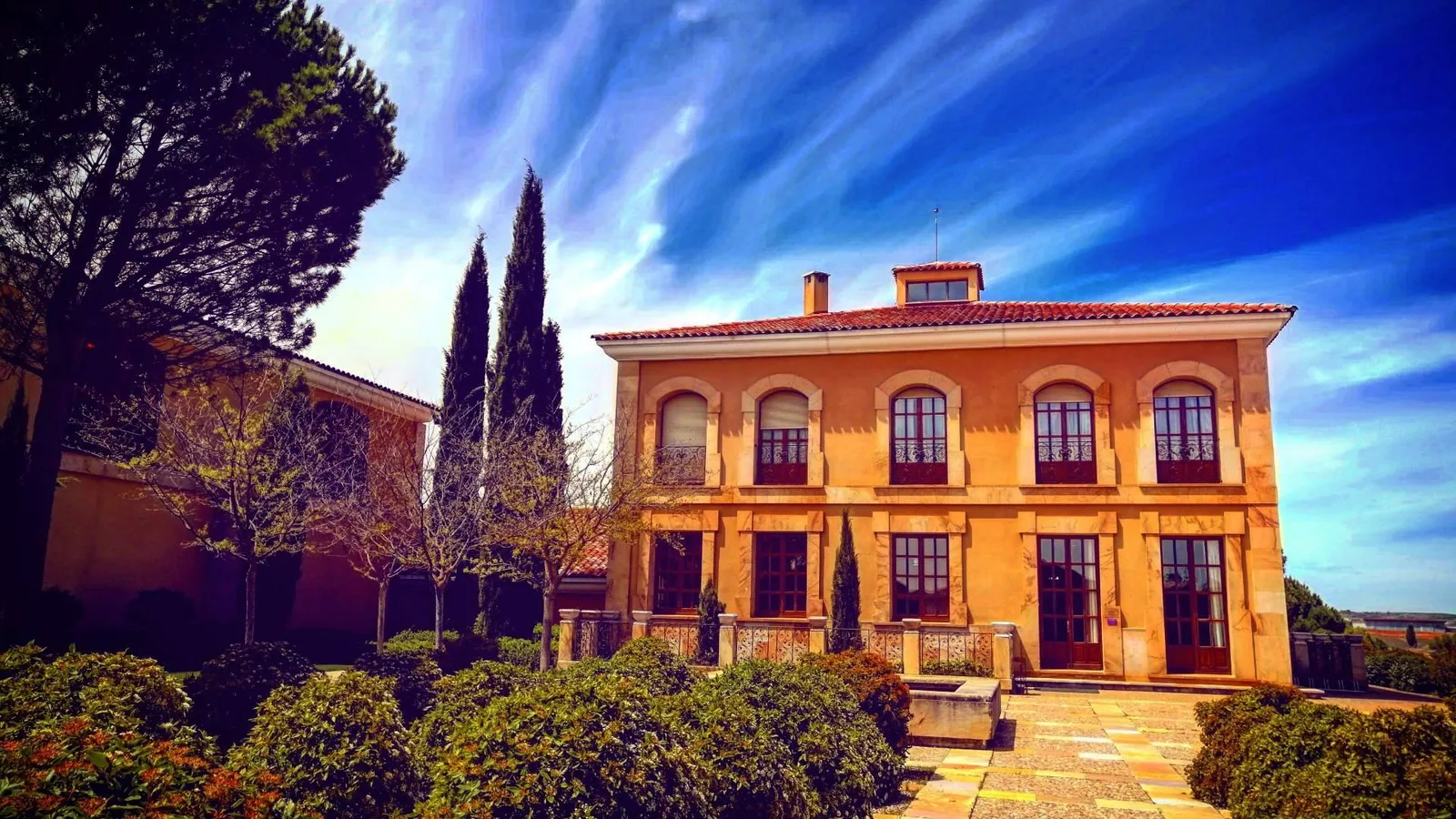 ¿Tour de vinos o ir por cuenta propia? Las claves para disfrutar de las bodegas sin preocuparse por la organización