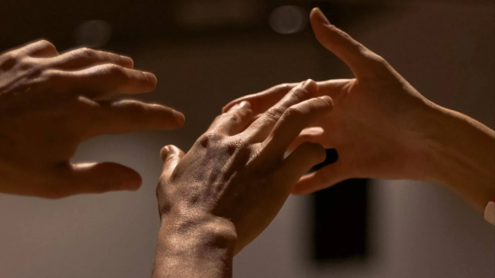 Xavier Serrano Hortelano abordará la desconexión corporal en el XVII Encuentro Español de Biodanza SRT